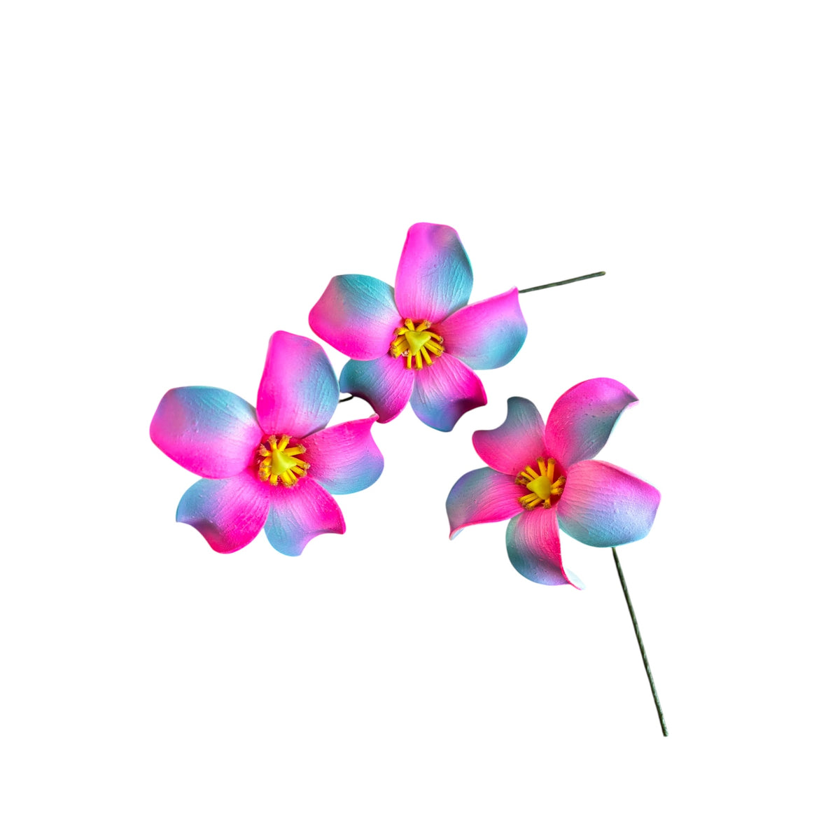 Bright Pink & Blue Puakenikeni | Foam Flower | Siale | Sei 7cm