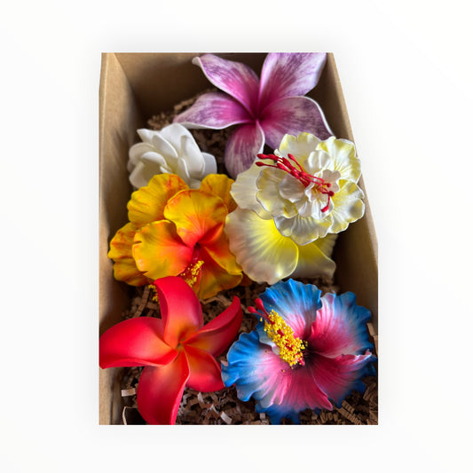 Kalava’s Kalaga Box 2 🌺