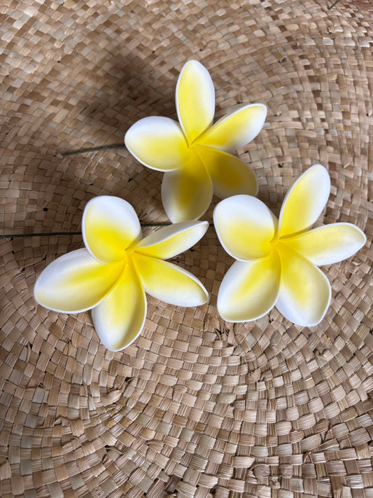 Aliutu White Plumeria 2-tone Foam Flower Sei Siale 9cm