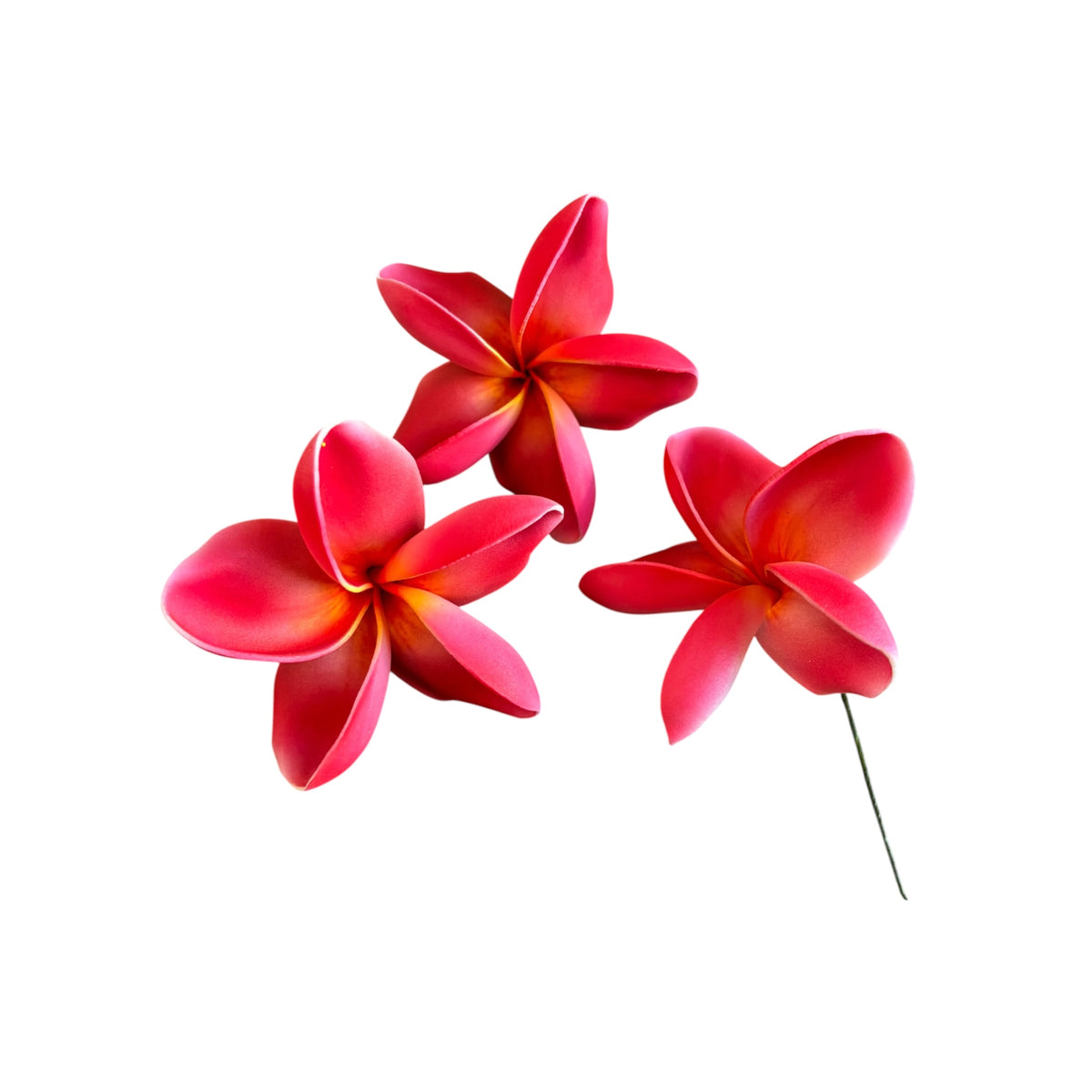 Red Plumeria | Foam Flower | Siale | Sei 10cm
