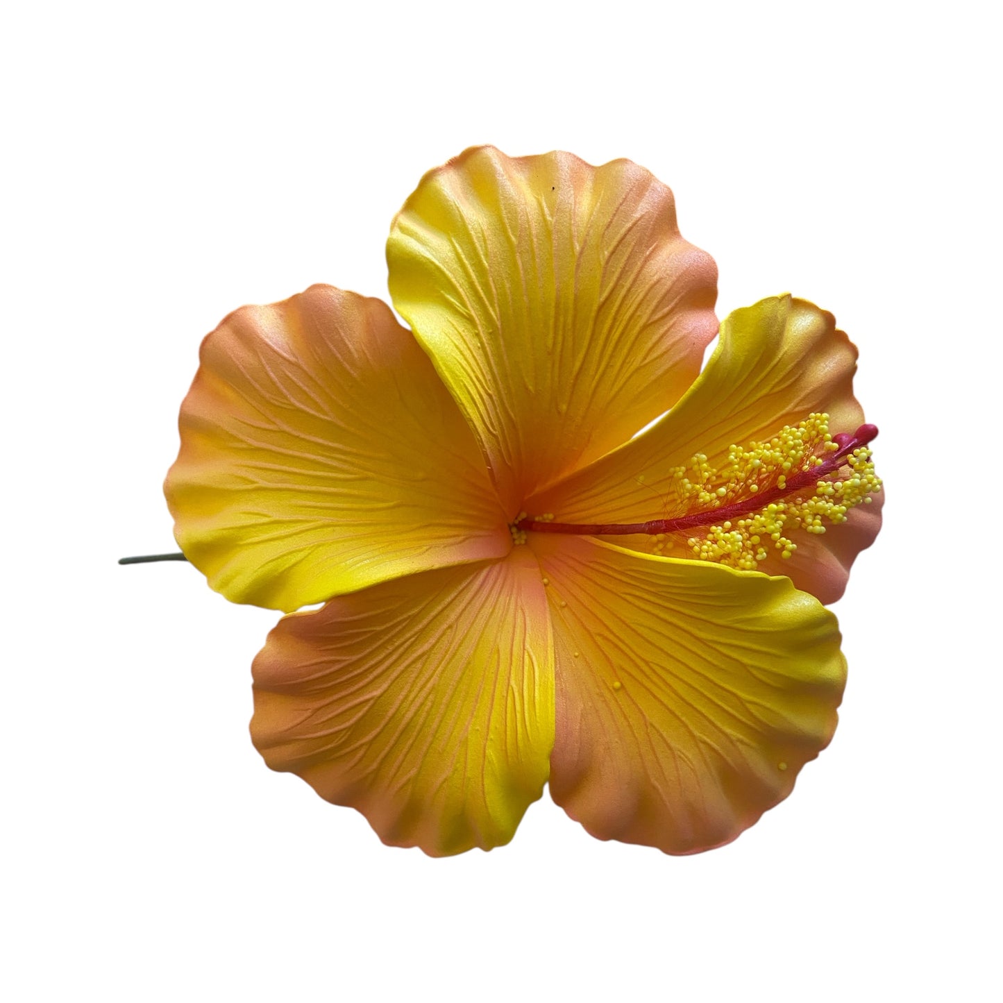 Tukaiavi Hibiscus Sunset Foam Flower Siale Sei 11cm