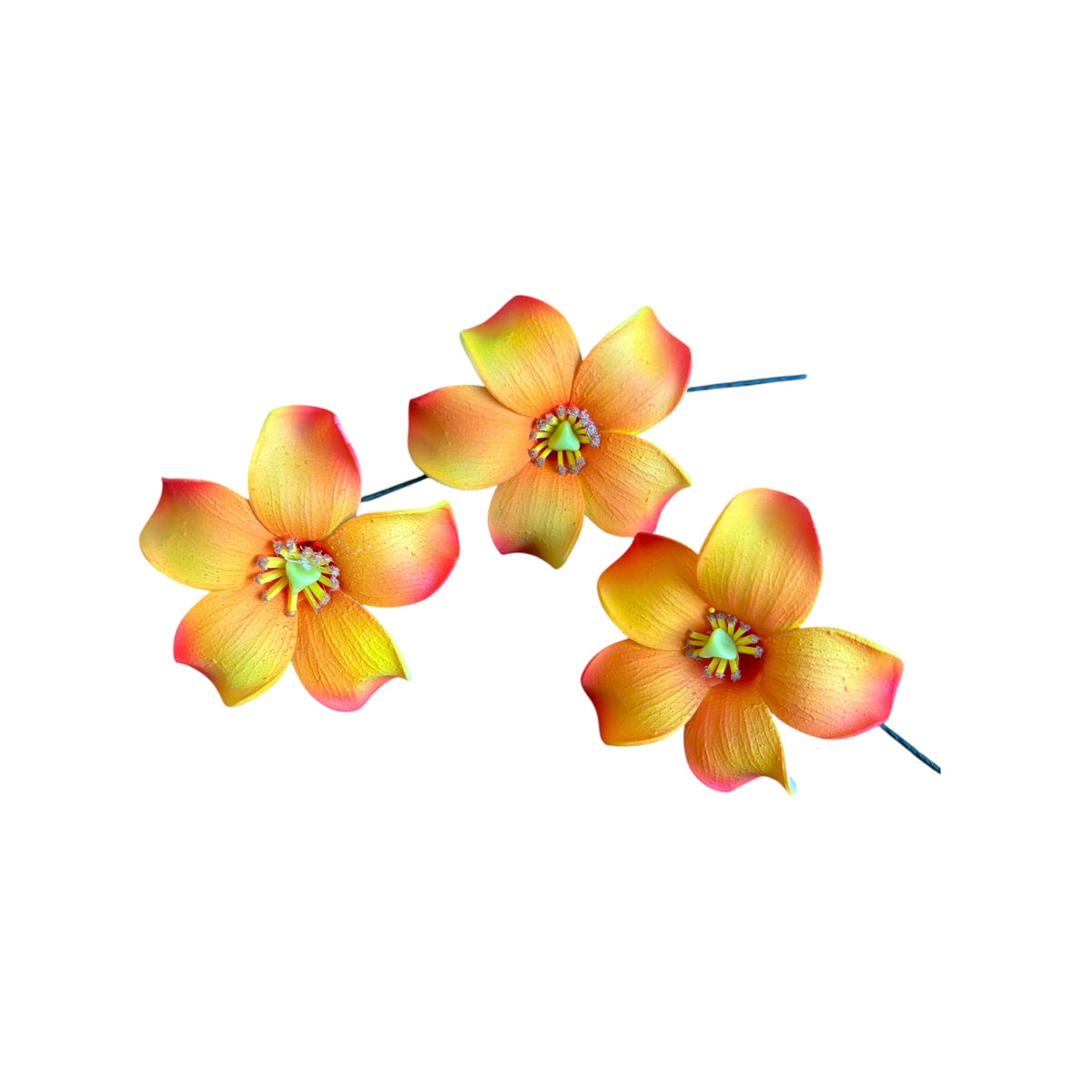 Yellow Red Puakenikeni | Foam Flower | Siale | Sei 7cm