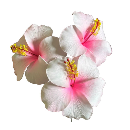 Araura Hibiscus Light Pink Foam Flower Sei Siale 12.5cm
