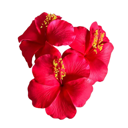 Araura Hibiscus Red Foam Flower Sei Siale 12.5cm