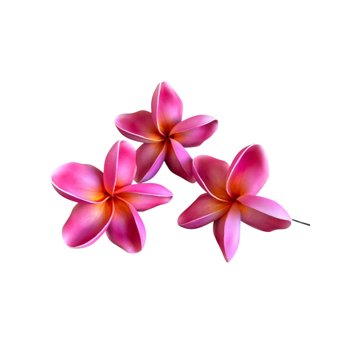 Pink Plumeria | Foam Flower | Siale | Sei 10cm