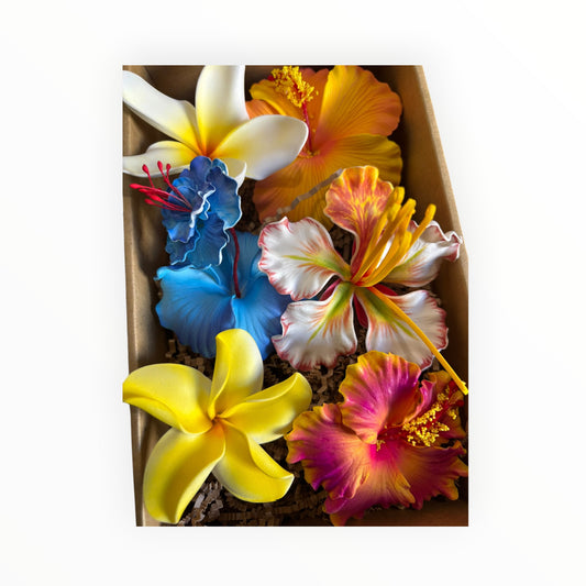 Kalava’s Kalaga Box 3 🌺