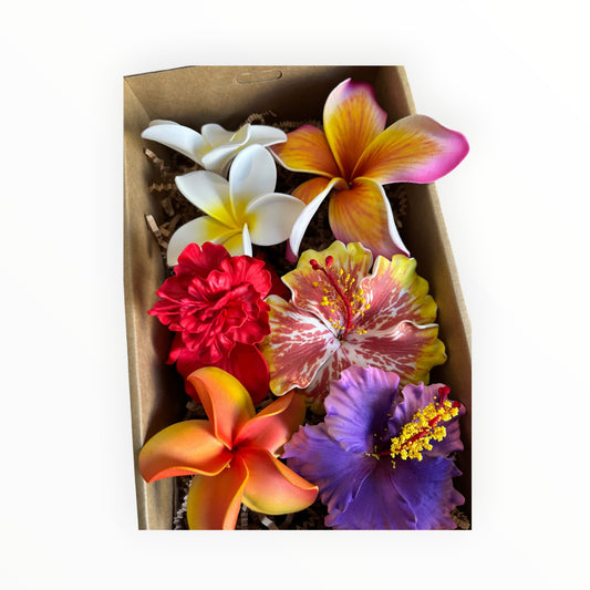 Kalava’s Kalaga Box 7 🌺