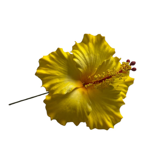 Nofoko Hibiscus Yellow Foam Flower Sei Siale 9cm