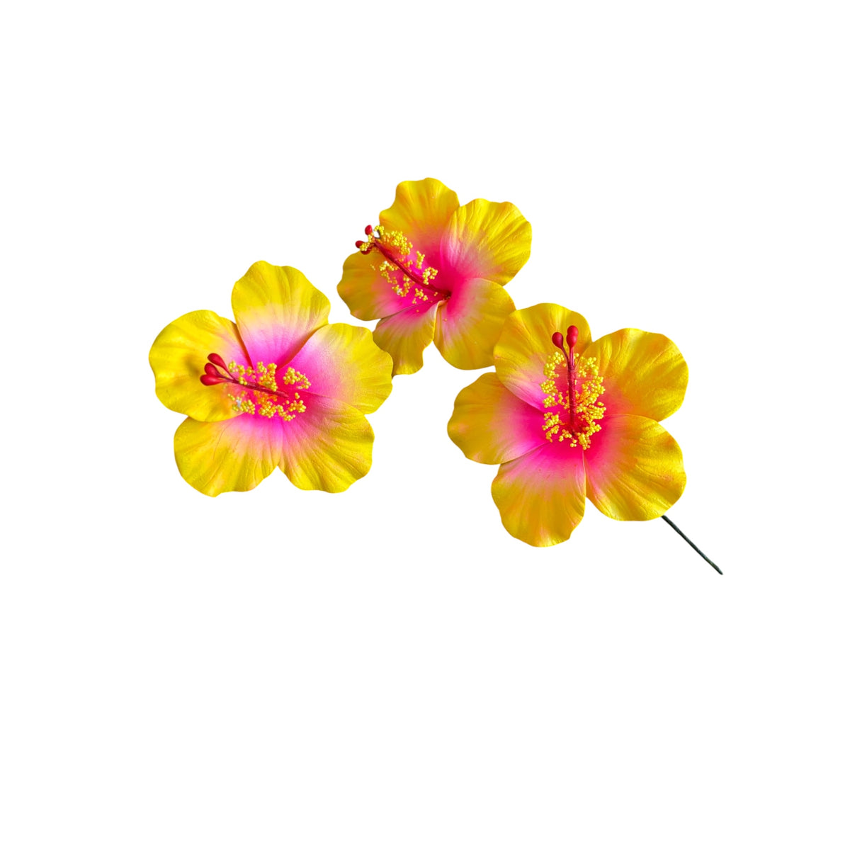Yellow Pink Ombre Hibiscus | Foam Flower | Siale | Sei 8.5cm