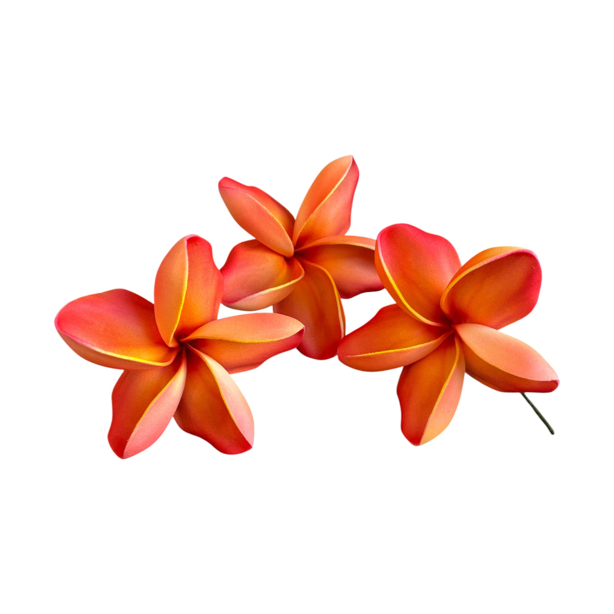 Red Orange Plumeria | Foam Flower | Siale | Sei 10cm