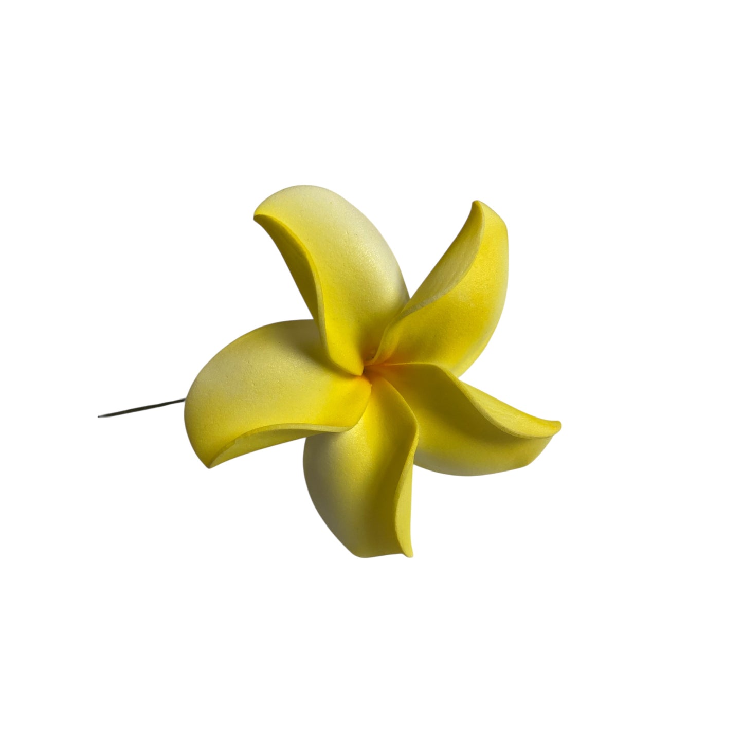 Alofi Plumeria Yellow Foam Flower Sei Siale 8cm