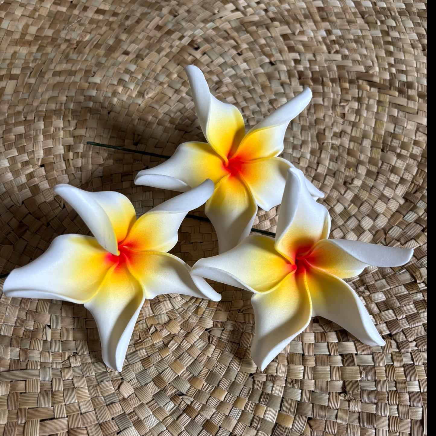 Utuko White Twisted Plumeria Ombre 3-tone Foam Flower Sei Siale 10cm