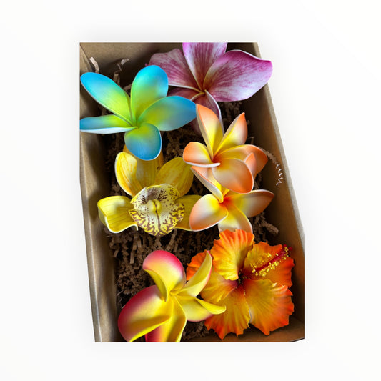 Kalava’s Kalaga Box 1 🌺