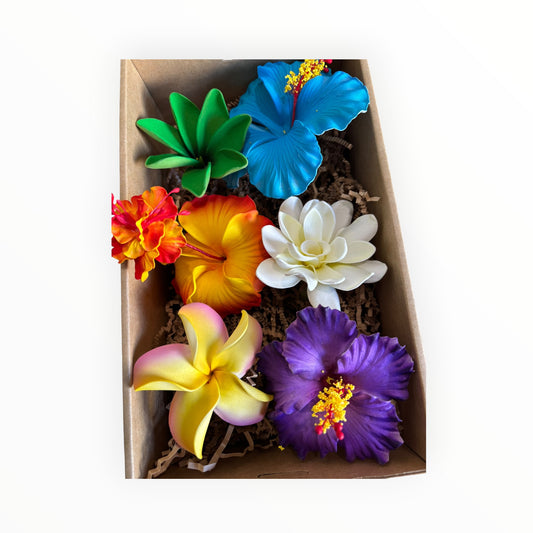 Kalava’s Kalaga Box 6 🌺