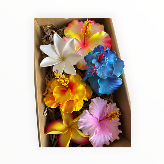 Kalava’s Kalaga Box 5 🌺