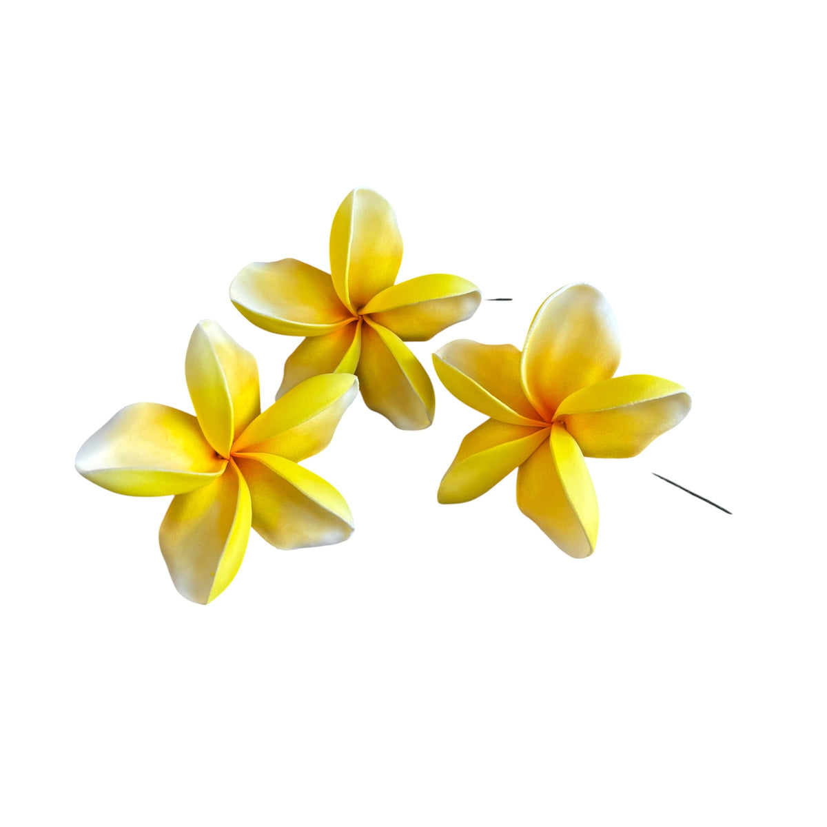 Yellow Plumeria | Foam Flower | Siale | Sei 10cm