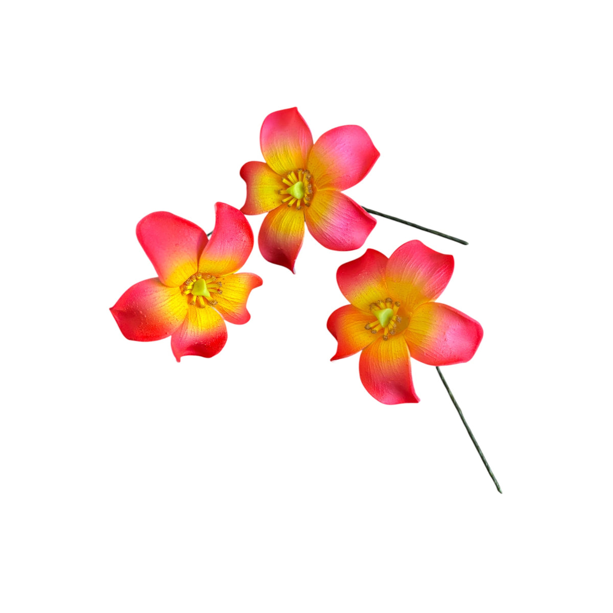 Red Yellow Puakenikeni | Foam Flower | Siale | Sei 7cm