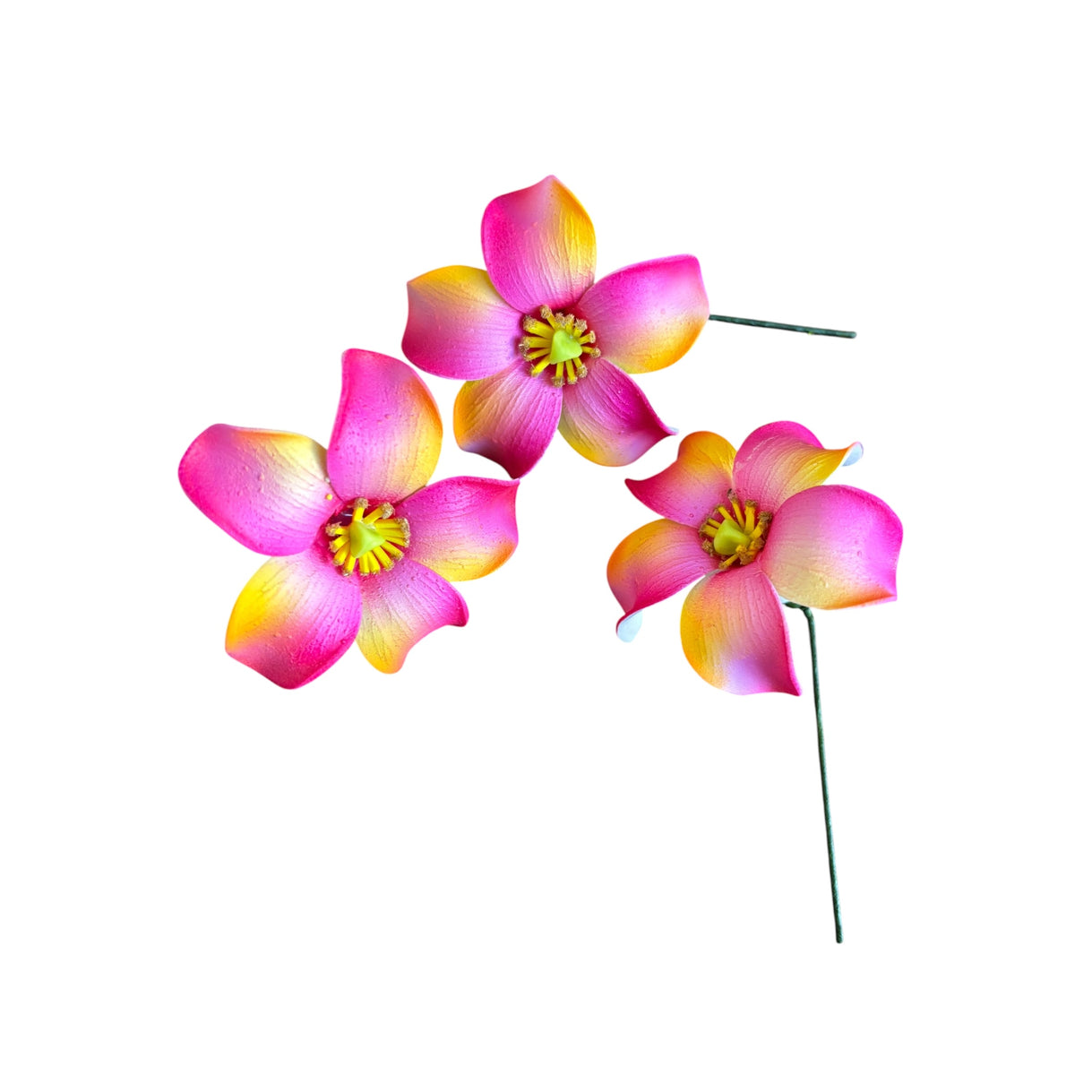 Crimson Yellow Ombre Puakenikeni | Foam Flower | Siale | Sei 7cm