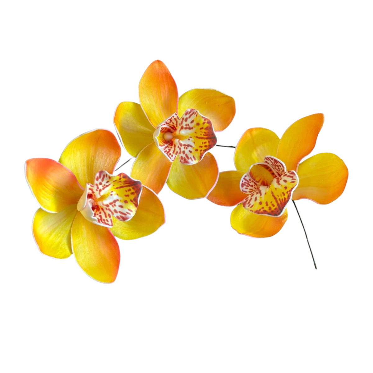 Yellow Orange Orchid | Foam Flower | Siale | Sei 10cm
