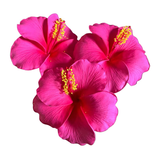 Araura Hibiscus Pink Foam Flower Sei Siale 12.5cm