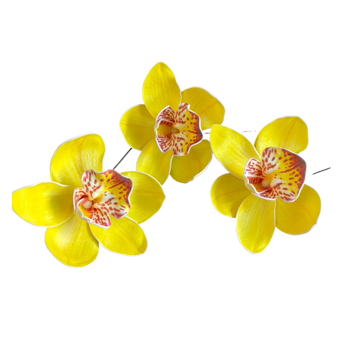 Yellow Orchid | Foam Flower | Siale | Sei 10cm